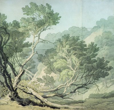 View Near Fordlands, Exeter by John White Abbott